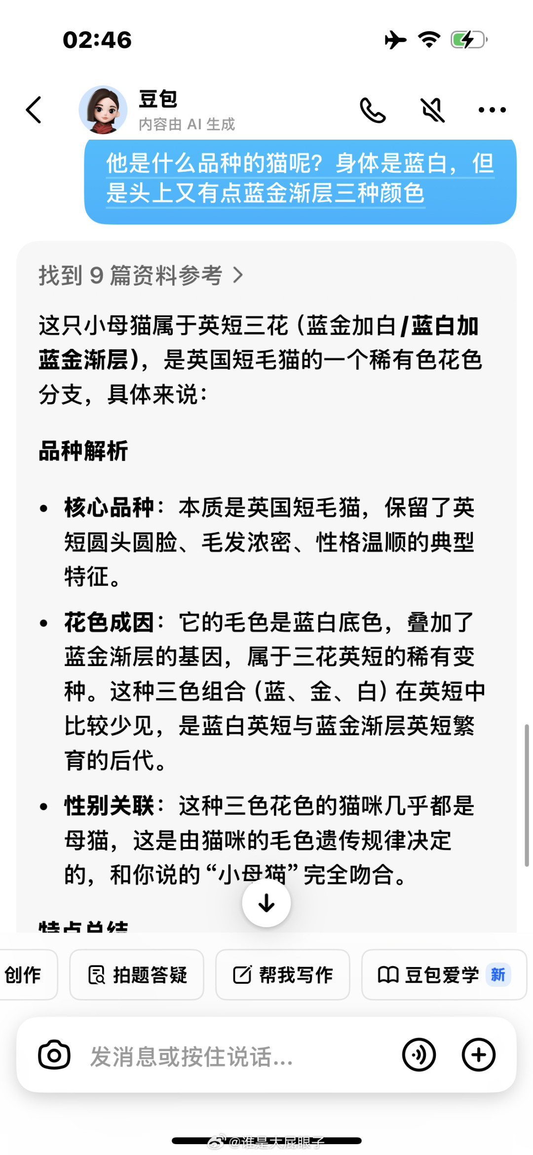 蓝金从188到一万八：英短渐层的