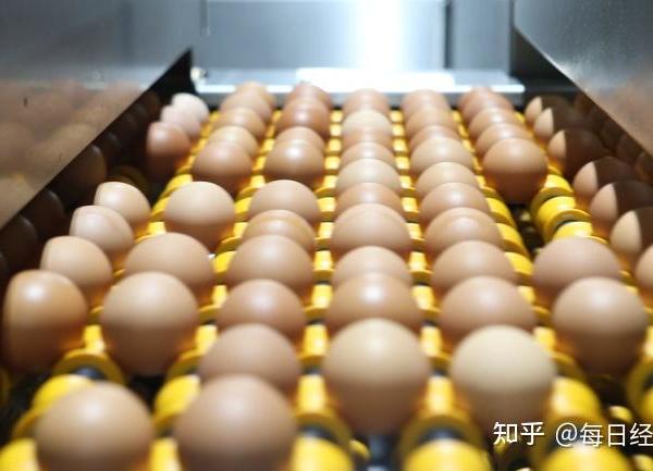 研究了2个月，我为什么选了咯咯哒灭菌蛋？全系对比+真实体验一次说清楚