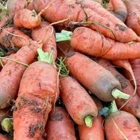 秋季润燥养脾胃的四种黄金菜