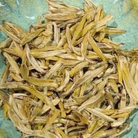 2026新茶横州茉莉飘雪免洗精品