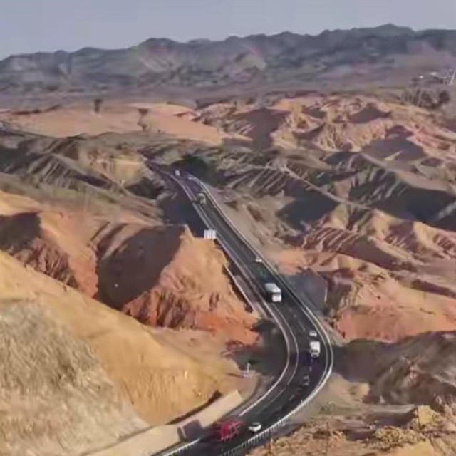淡干海参怎么辨别等级？看四个位置，不用听介绍