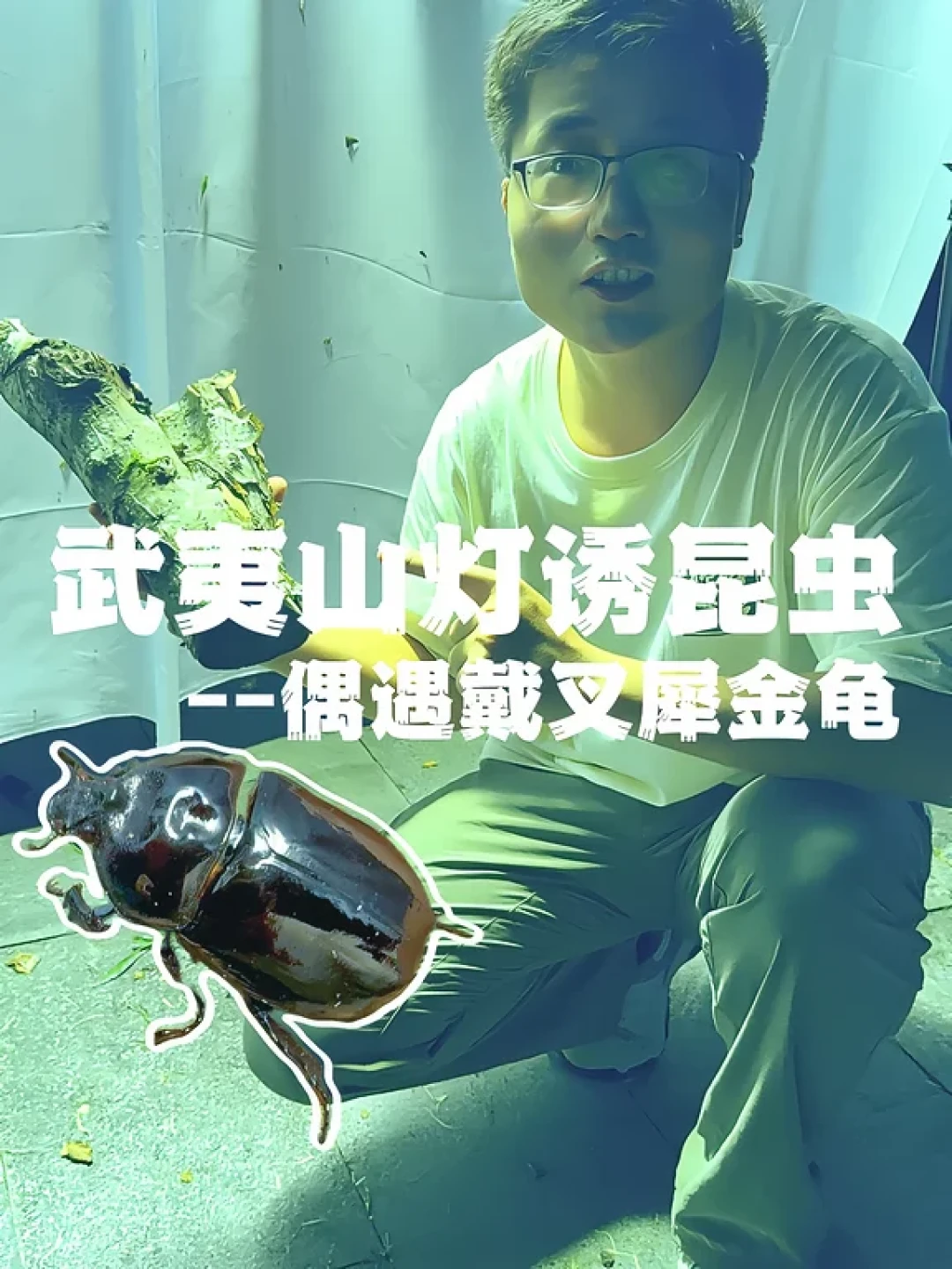 「野生=三有=违法」是过期的说法,「买公送母」是正在生效的坑:国庆前接第一只独角仙,先把这四个数对清