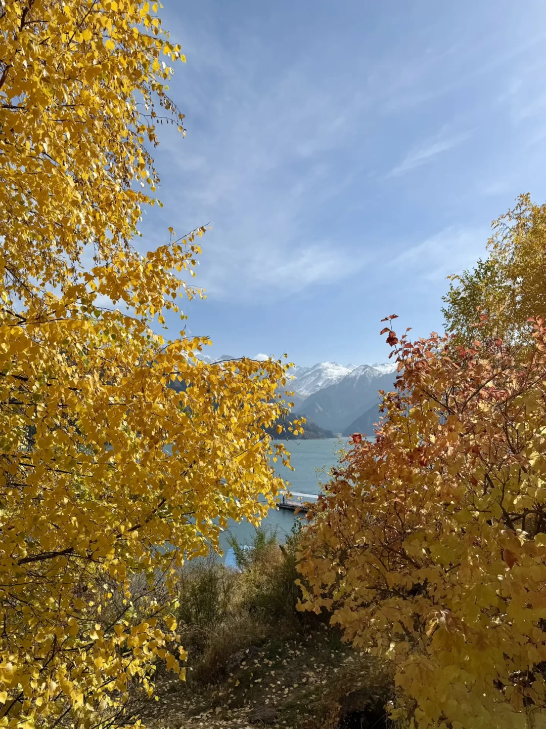 双节的世遗秋色，一半会扑空：九寨彩林离巅峰还差两周，天池金叶和条子泥鸻鹬已经到顶——先对物候日历，再对门票