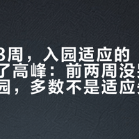 开学第3周，入园适应的“回弹潮”到了高峰：前两周没哭的娃开始拒园，多数不是适应失败，也不是幼儿园出了事