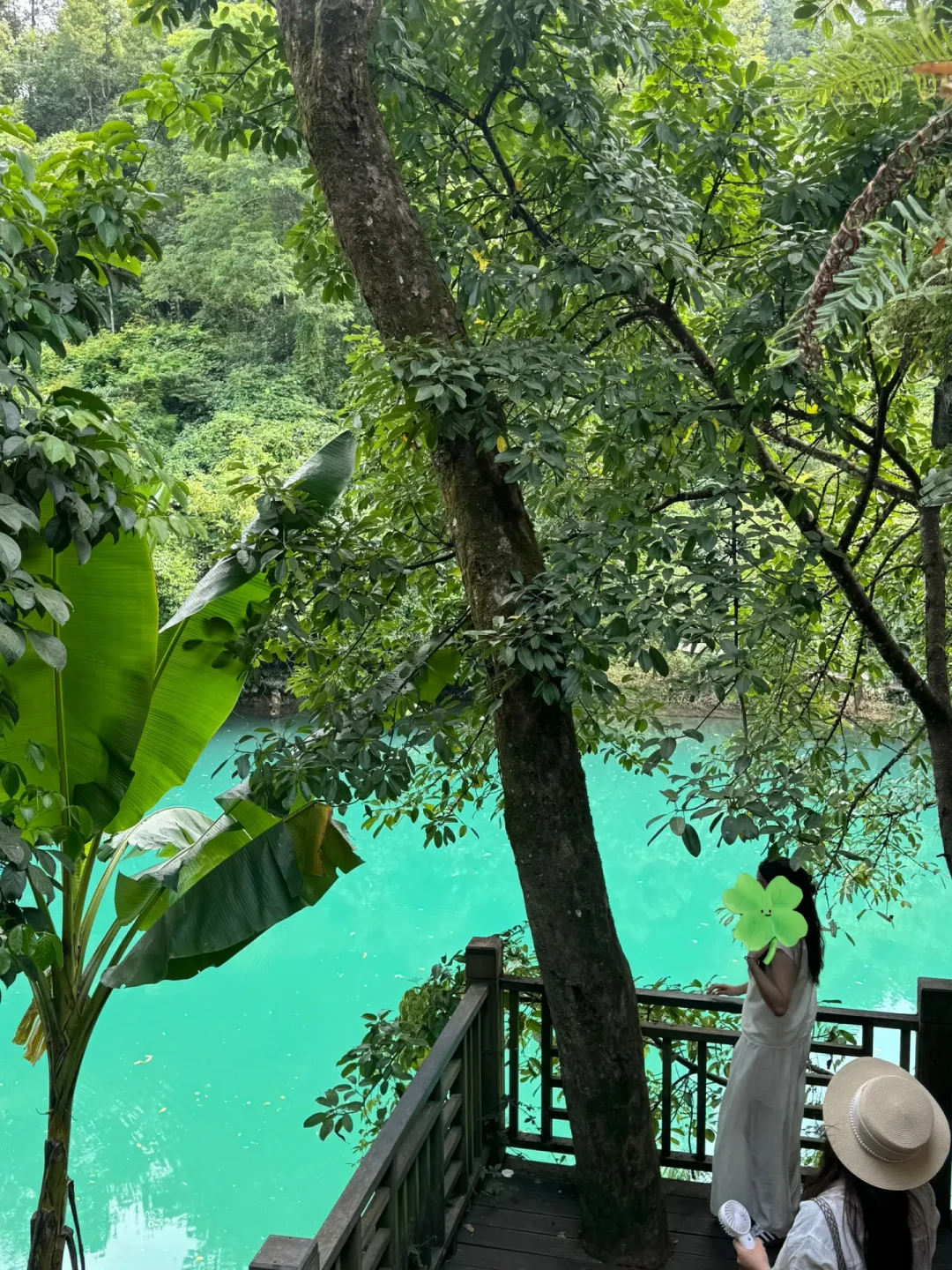 “白居易式旅居”4.2亿阅读背后:我翻完20多篇真实旅居账本,想“居易”先算清这4笔账