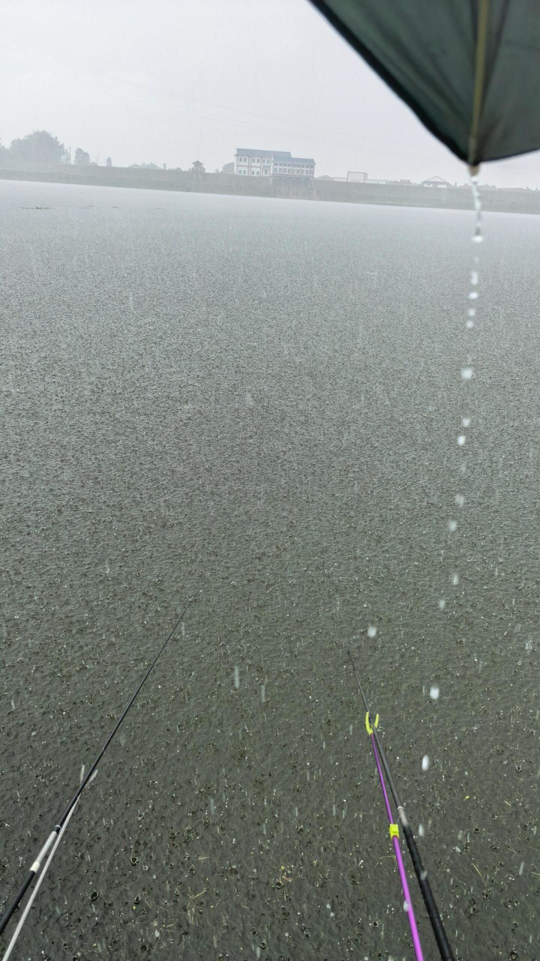 华西秋雨已经“钉”进两个月:川渝鄂钓友剩下的秋口,能不能出钓就看这3个数
