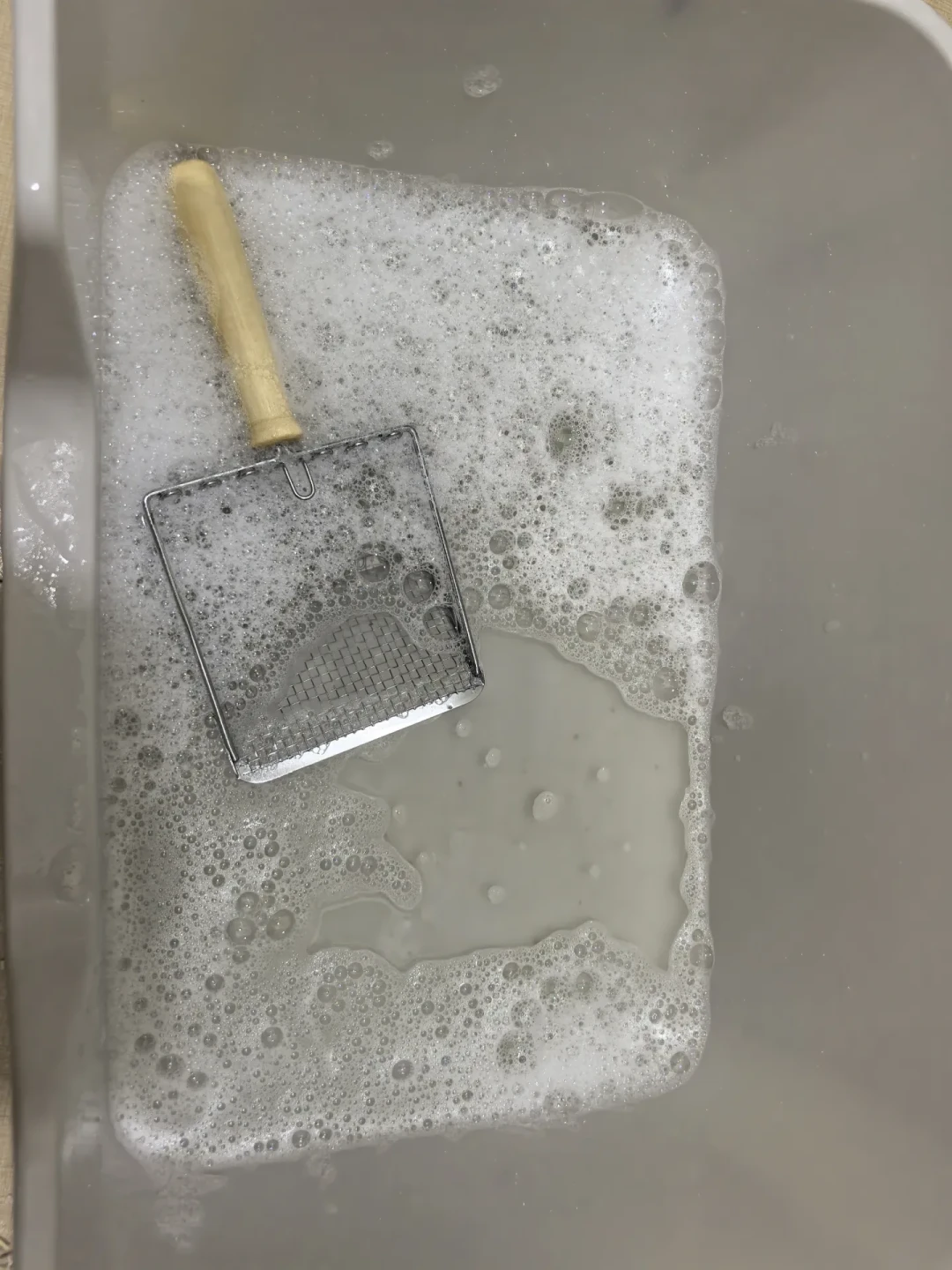 秋季换毛季高峰:家里的“猫味”是浮毛在运味——这份宠物家务清单,先别花冤枉钱