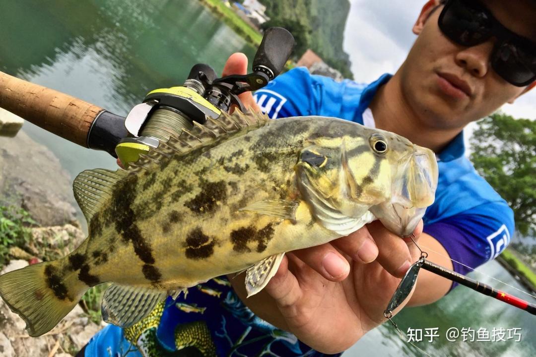 都在喊“秋鳜来了”,你钓的却全是打火机:对完这周五地战报,鳜鱼开口秋天分两场