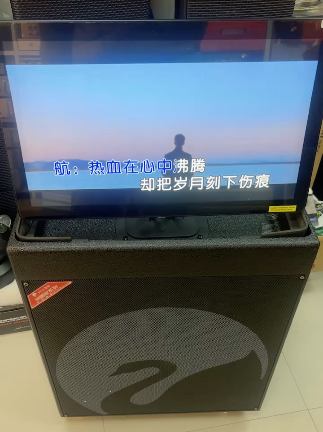 惠威K歌一体机铺了十几台机器、全网却只有一个价格,还是