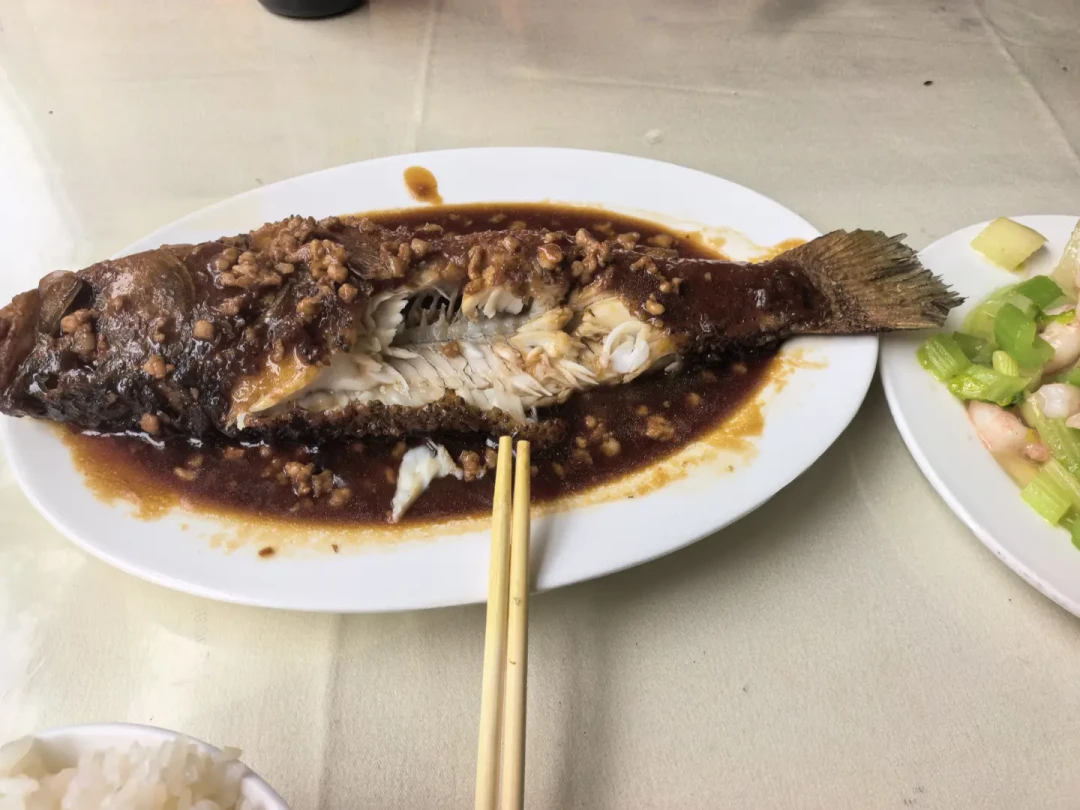 韶山9下了场,京沪线最后的纯数字列车进入倒计时:坐一趟1461之前,先把这三件事捋清楚