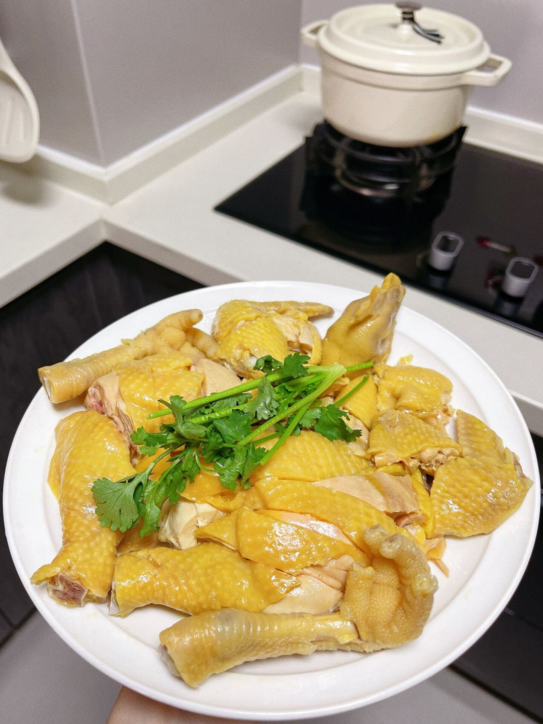节目淘汰了莫氏鸡煲,食客照样买到日售百只:中秋前7天买鸡,先分清25块、128块和200块