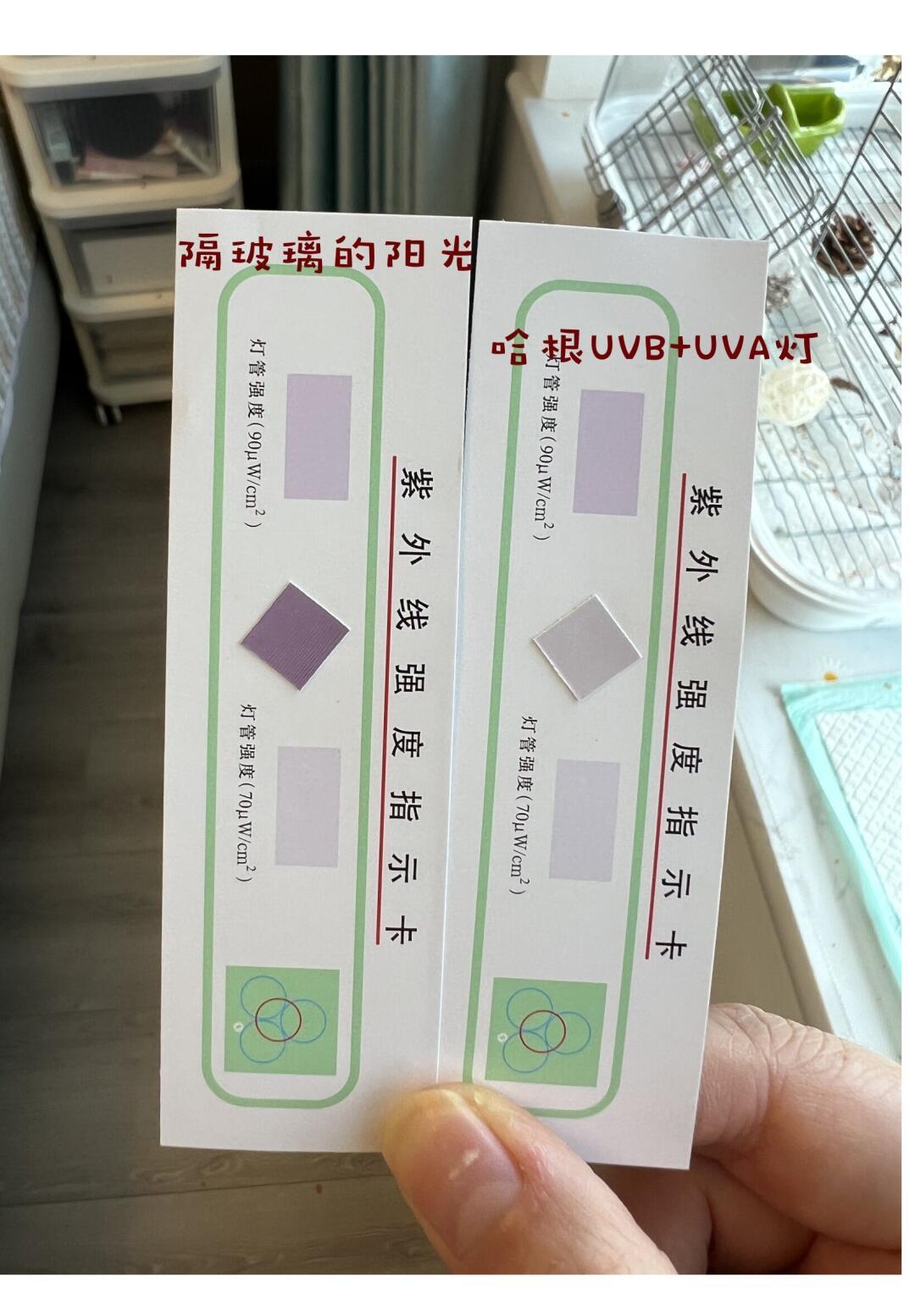 窗台上的晒点快没了:我把全网测灯的帖子翻了一遍,40块到560的鸟灯这笔钱到底买什么