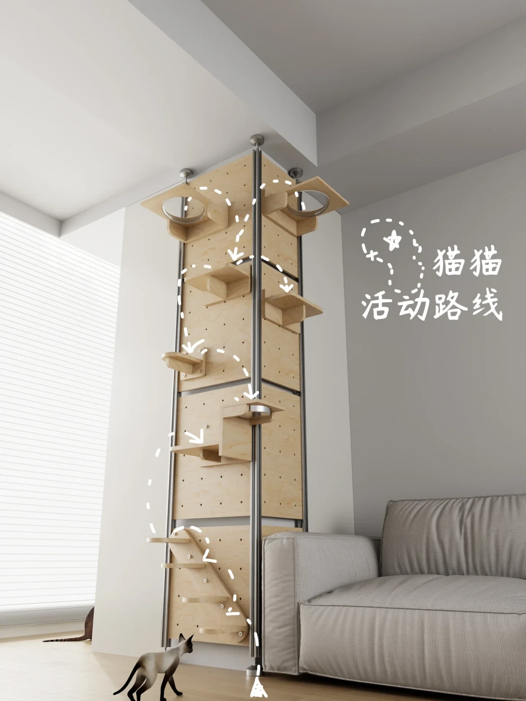 猫只用猫墙下面两层:我把网上互相对不上的6套