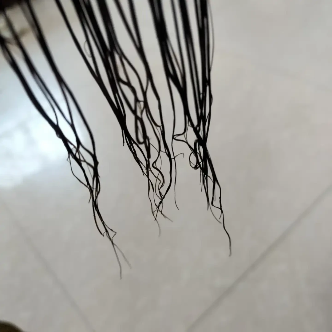 被美检察官起诉