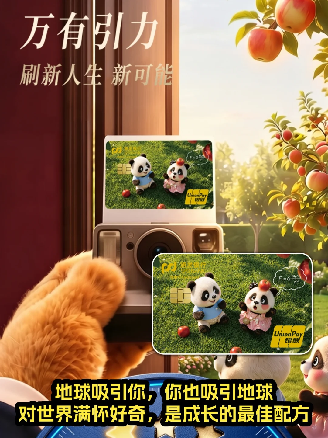 昨晚入口还在，中午就没了：浦发