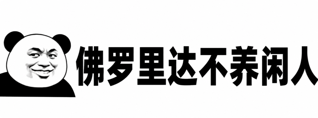 极空间“没有命令行”?两个开源项目一个月趟出三条路,它们劝退的都是同一件事——别把root交给大模型