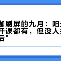 公园瑜伽刷屏的九月：阳光、草地和公开课都有，但没人拍"铺开垫子之后"