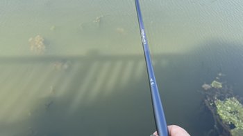 秋天第一场溪流就断竿？我把今年的断竿避雷帖翻完了：三类