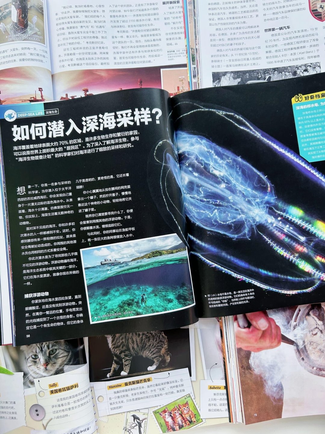 好奇号六周年专辑卖到119元:四本“六年精华”,先对过旧书摊和27年订阅的价格再掏钱