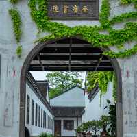 48万播放的"杨过为什么选玄铁重剑",1368条评论吵了三个月:最流行的"境界升级论",恰恰是金庸没写的那一版