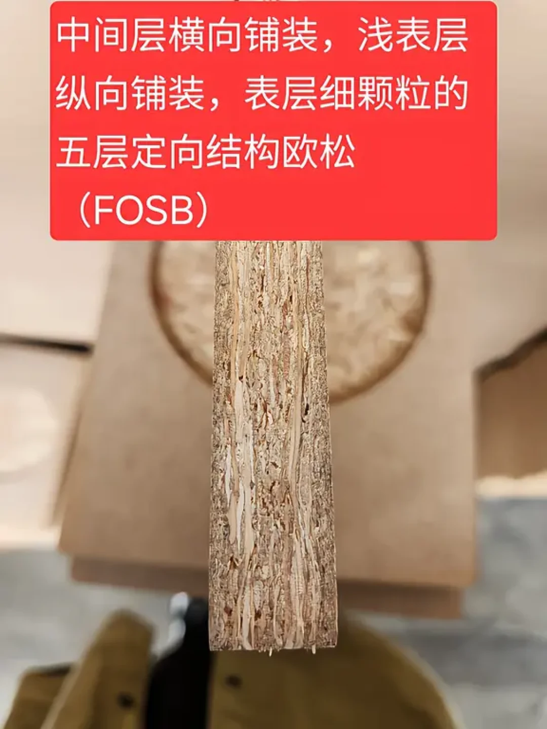 90块一张和550块一平的都叫「欧松板」：我对完全网20多条焦虑帖和真实账单，埋你的从来不是刨片，是剖面、胶、用量这三个词