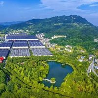 高洲连露酒都想卖了:翻完28度"百意"账号一个月的发帖,这场低度战跟泸州老窖打得完全不一样