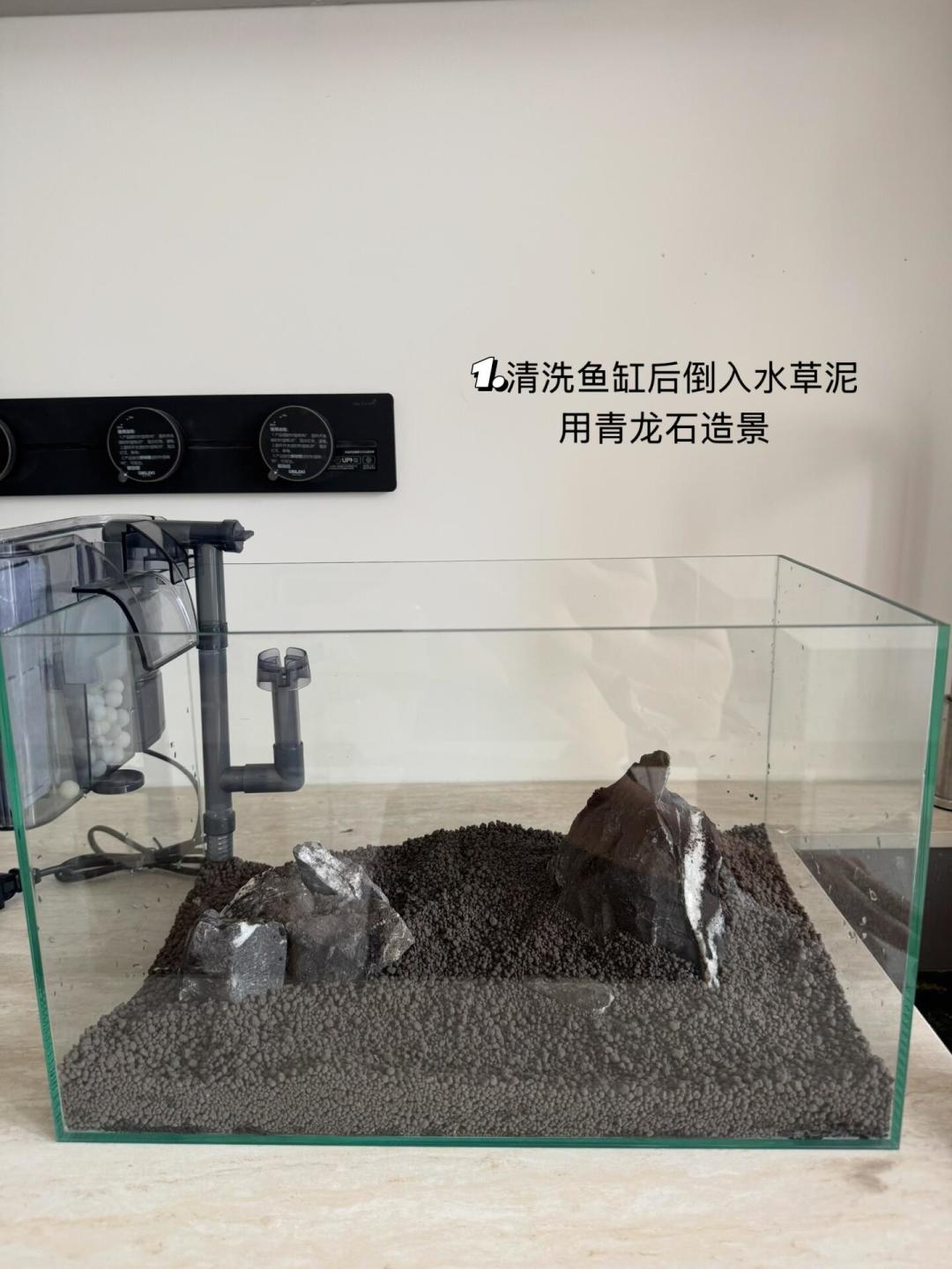 水兰到了巅峰,广东降到能翻缸:9月的翻缸潮已经来了,草缸第一次大动土前,先把三本账算完