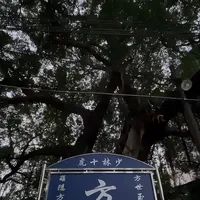 昨晚你的信息流被10条“方世玉”刷屏：全在凌晨3到5点发出，点赞加起来等于0