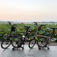 4速选购与货架维护 | BROMPTON9.19日报
