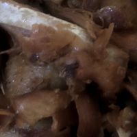 秋日好食光·自制姜母鸭