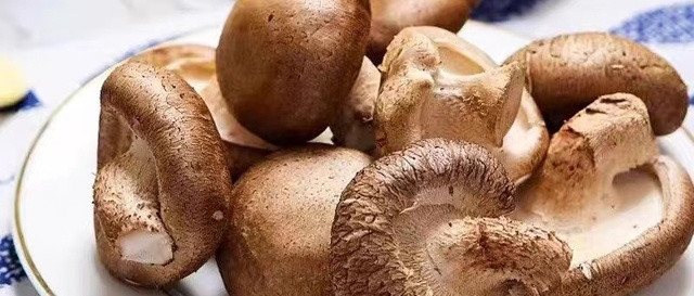 香菇的烹饪特性与家常做法
