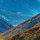 鱼油选什么品牌好？2026年六款国产鱼油从配方到检测解析
