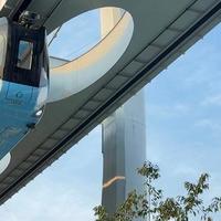 外国市长上车先跺脚，这趟武汉空轨到底有什么魔力