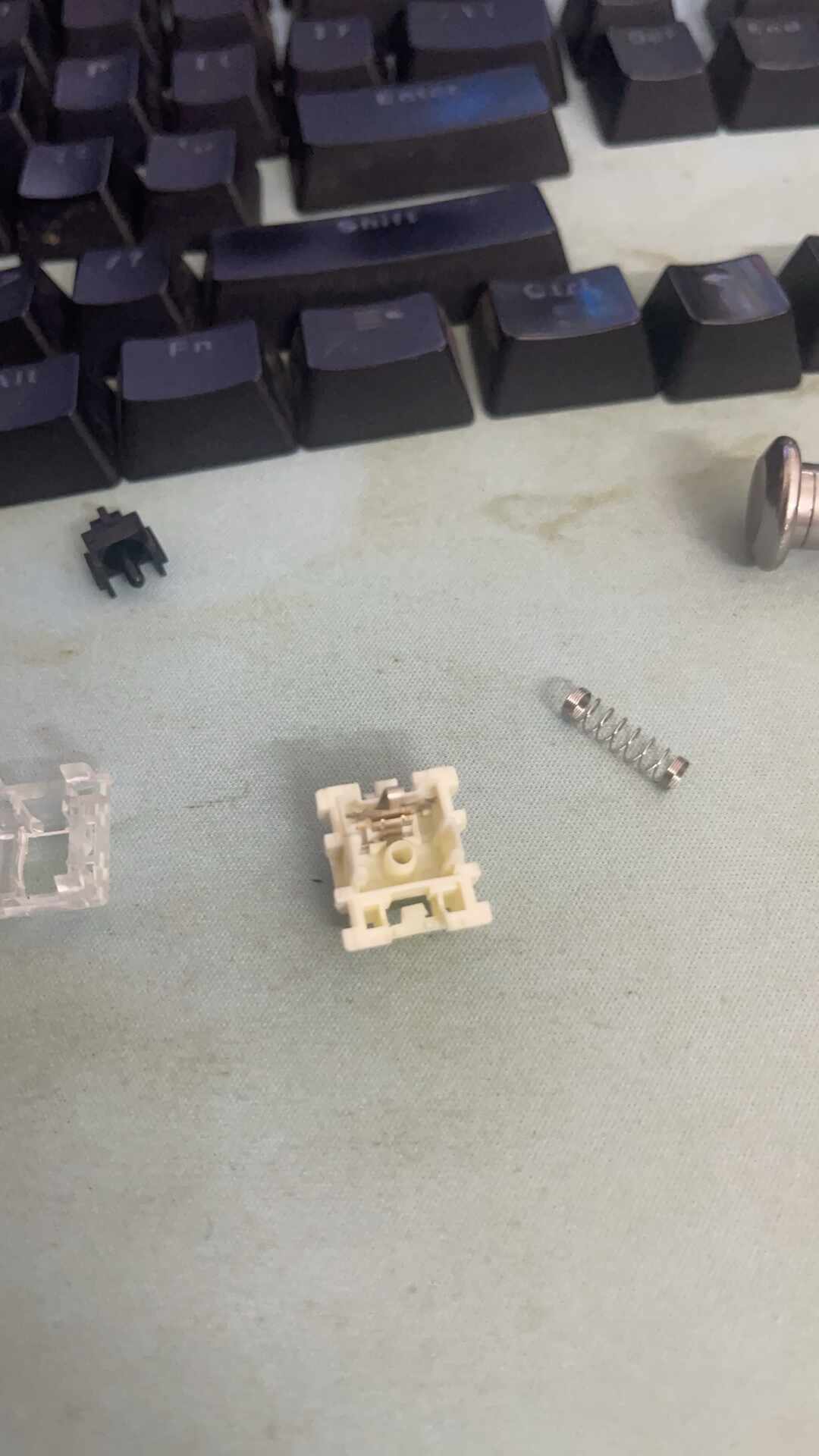 磁轴爆火,