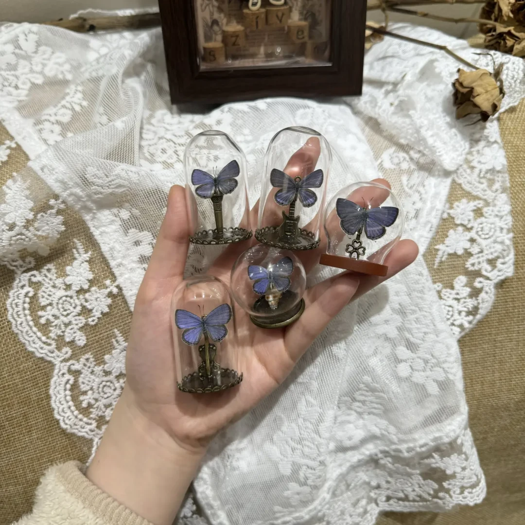 机械蝴蝶刷屏了:自制三百、定制八百,这份“第二次生命”哪些钱值得花?