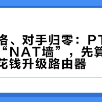 测速满格、对手归零：PT做种党撞上“NAT墙”，先算完这四笔账再花钱升级路由器