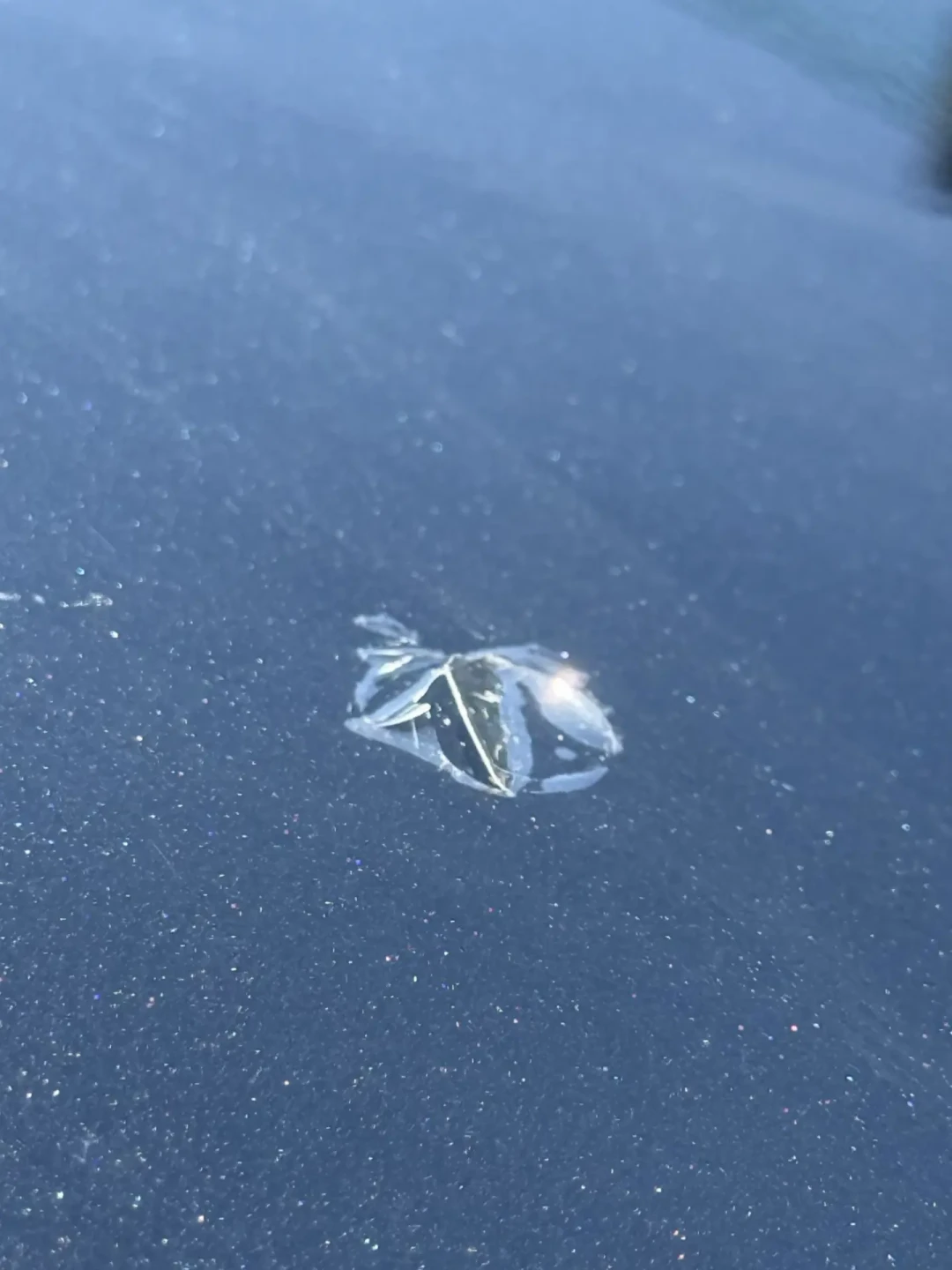 鸟粪在车漆上能放几个小时?我扒了30条实录帖:毁漆的开关不是时钟,是温度