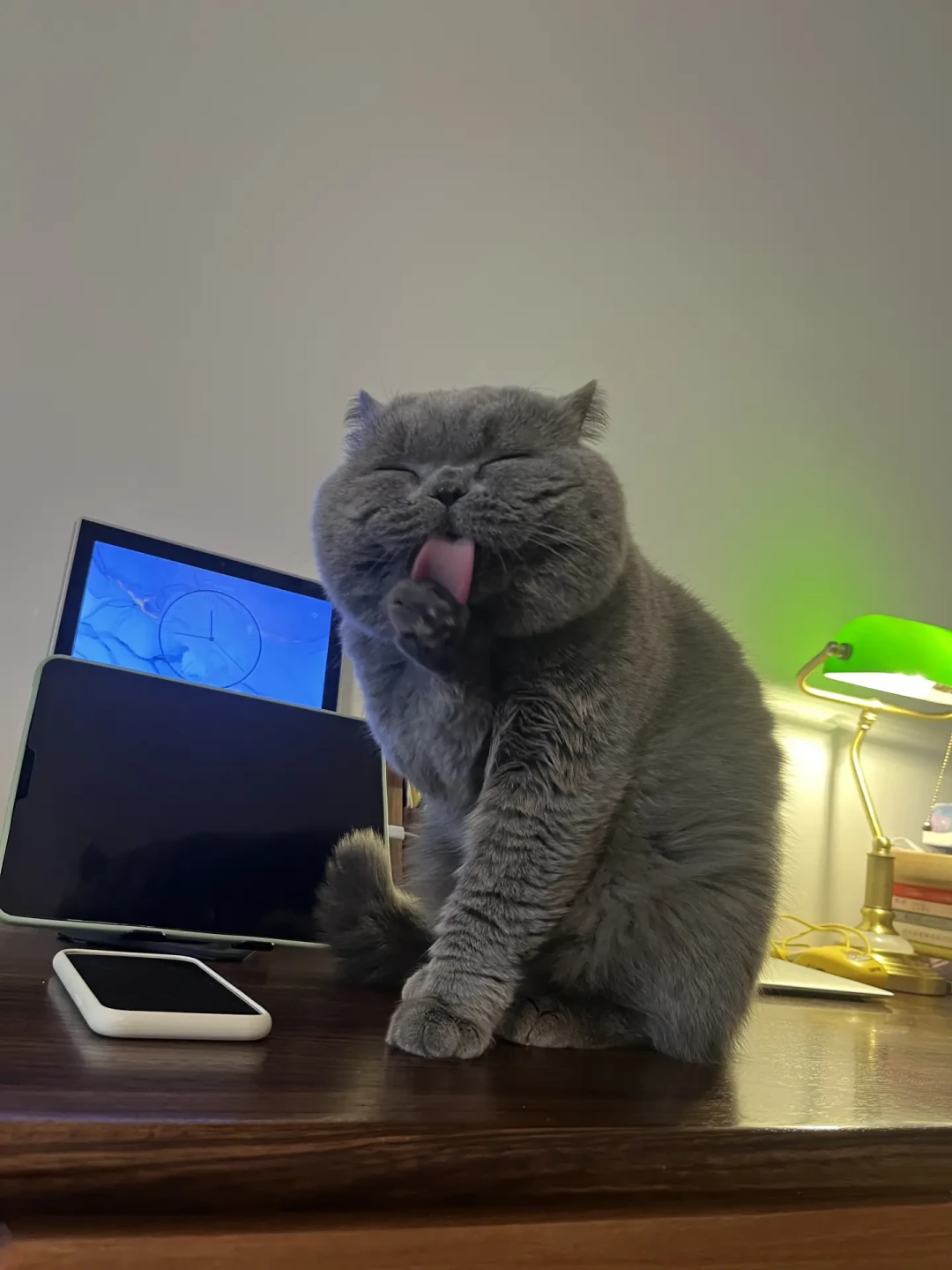 英短家长注意:昨天一条