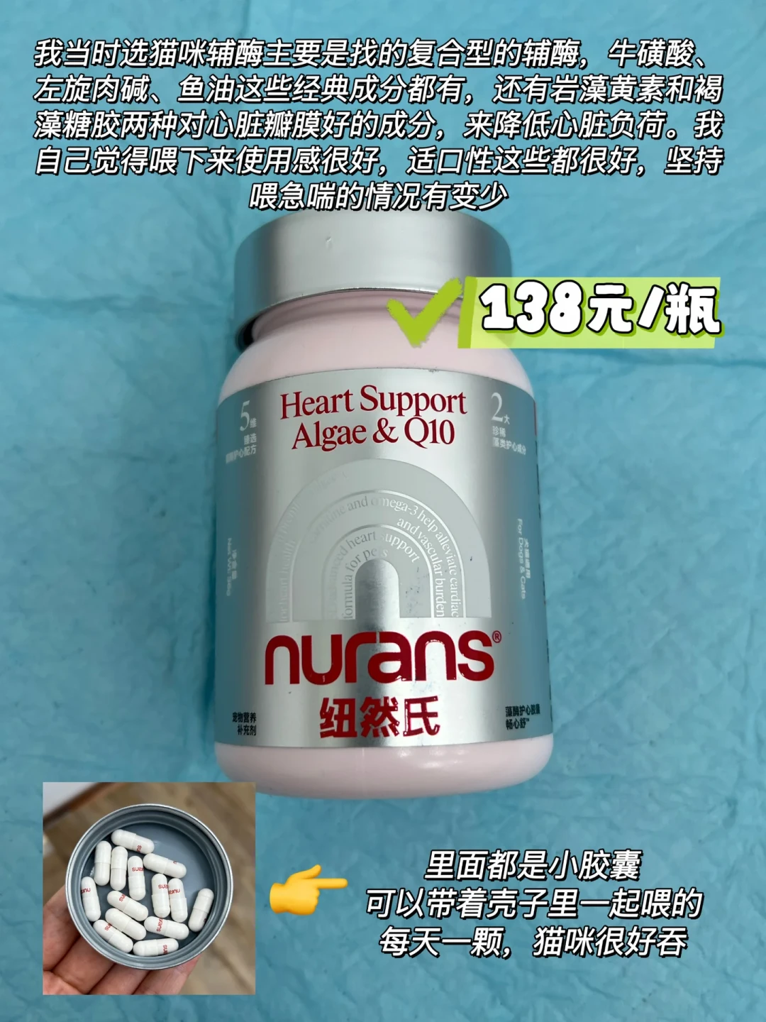 英短家长注意:昨天一条