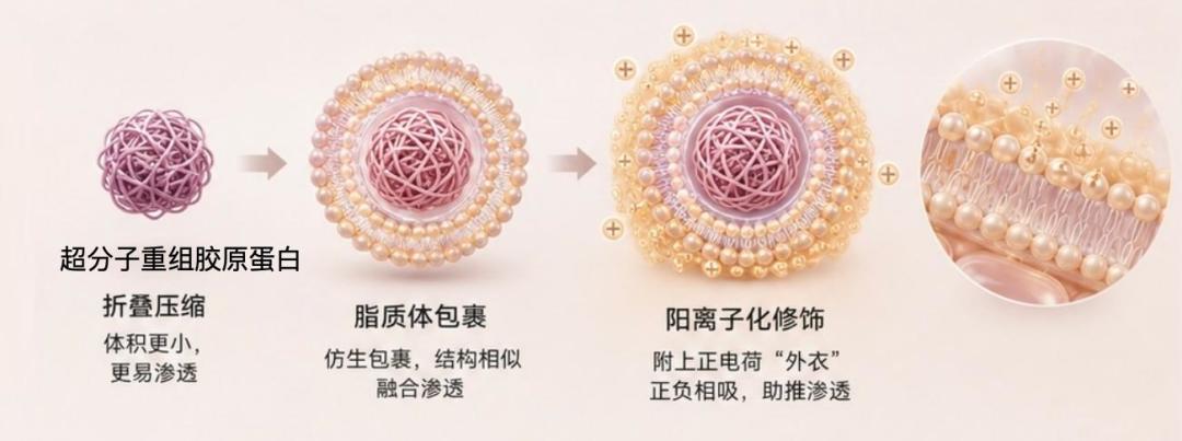 重组胶原蛋白刷满换季屏:为