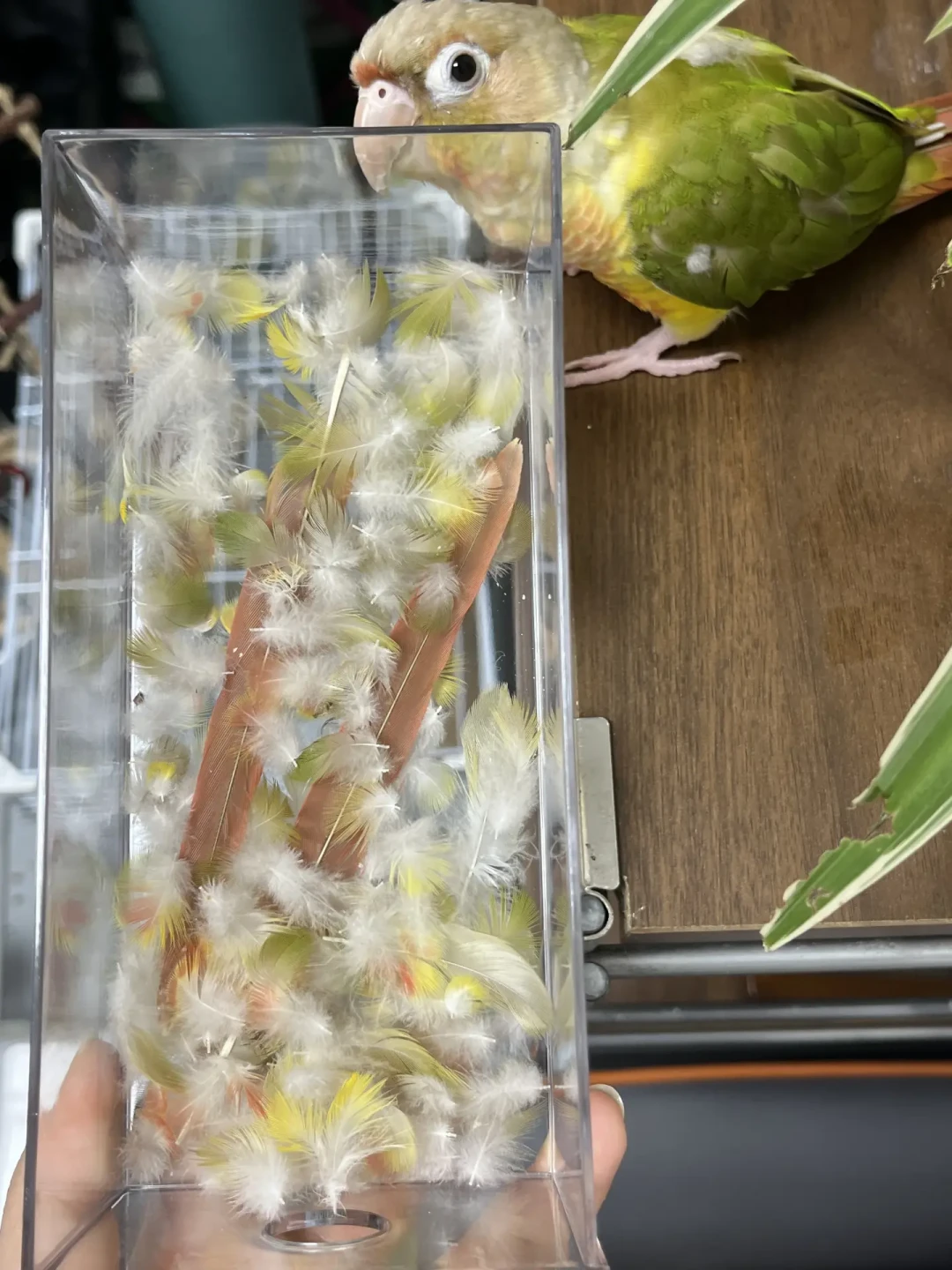 入秋“水里加点”的帖子刷屏:2万收藏的“十种水”和4525赞的科普帖,我把电解质这壶水分成三类讲清