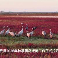 小米米家热泵洗烘一体机双风轮技术解析：烘干效率真能翻倍吗？