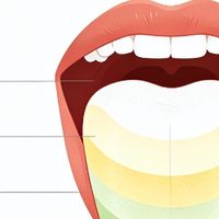 早上起床先看舌苔！30秒自测健康，附刷舌苔避坑指南‌