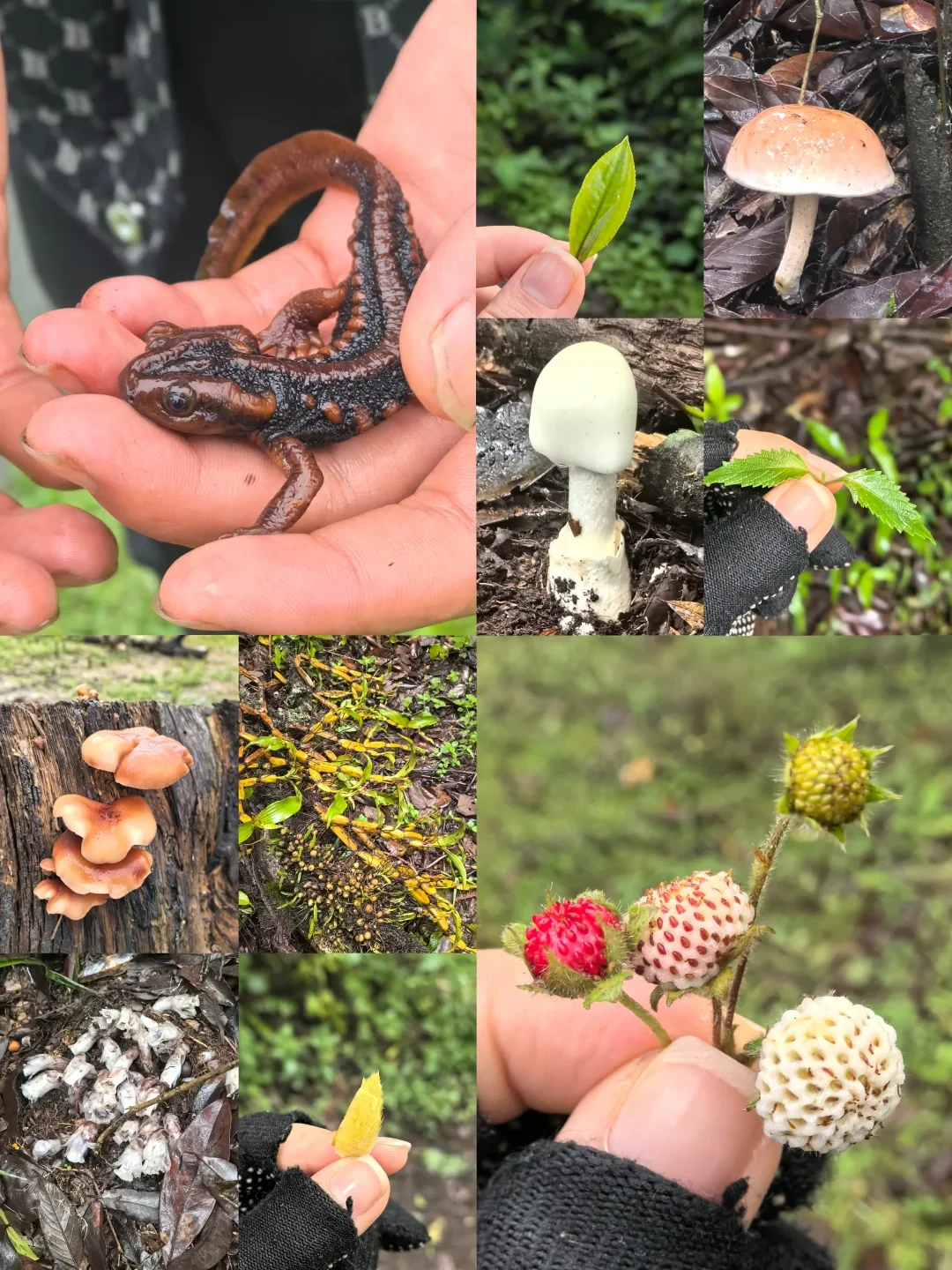国庆前第一套防虫装备:别急着信「植物温和」,也别赌「浓度越高越强」,先把「防什么虫、吊牌看哪几个数、钱花在哪」三笔账算清