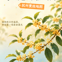 2026赏桂地图：哪些热门地根本不值挤、哪些冷门地藏着全国最浓桂花香