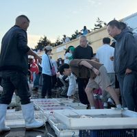 东海「大开渔」第一网200吨到宁波、带鱼每斤便宜四五块：双节买海鲜前先把三笔账算完——「普货平稳、精品上涨」是市场原话，真正的价格洼地等国庆后；「避雷大眼带鱼」一半是营销话术，渤海黄海东海的带鱼其实是同一个品种；最要防的是「山姆盒马商超尾单」：刀鲳冒充鲳鱼、黄姑鱼冒充黄鱼、空壳皮皮虾不许验货，13人已被公诉