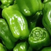 青椒炒肉的制作步骤与技巧
