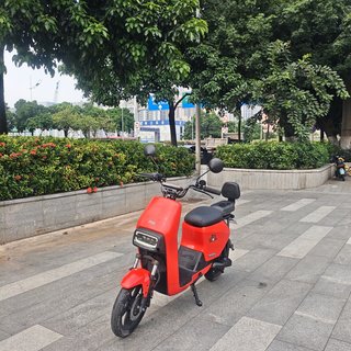 离京、离沪、毕业甩卖:二手小牛一周涌出来20多台——掏钱前先过电池、过户、换绑、发票四道关