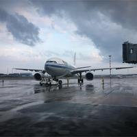 国航“飞8次送金卡”挑战赛9月30日截止：最后一周“还差2次”的人，正在凌晨飞湛江