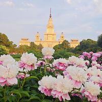 芍药起苗季赶在秋分前刷屏：今年五月集中炸的雷，浓缩成5个硬数字再下单